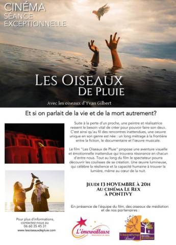 Projection du film Les Oiseaux de Pluie - novembre 2025  PONTIVY
